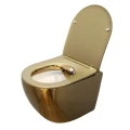 MISKA-WC-WISZACA-RIMLESS-MIZU-GL-WH-RIM-03-ZLOTY-POLYSK-DESKA-WOLNOOPADAJACA-DUROPLAST_[79788]_1200.jpg