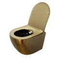 MISKA-WC-WISZACA-RIMLESS-MIZU-GL-BL-RIM-03-ZLOTY-POLYSK-DESKA-WOLNOOPADAJACA-DUROPLAST_[79395]_1200.jpg