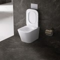 MISKA-WC-WISZACA-RIMLESS-AQUA-WH-03-BIALA-DESKA-WOLNOOPADAJACA-DUROPLAST_[77858]_1200.jpg
