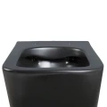 MISKA-WC-WISZACA-RIMLESS-RAIN-MTB-RIM-03-CZARNA-MAT-DESKA-WOLNOOPADAJACA-DUROPLAST_[92411]_1200.jpg