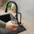 43082.jpg
