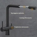Wyrozniki-Ellen.jpg